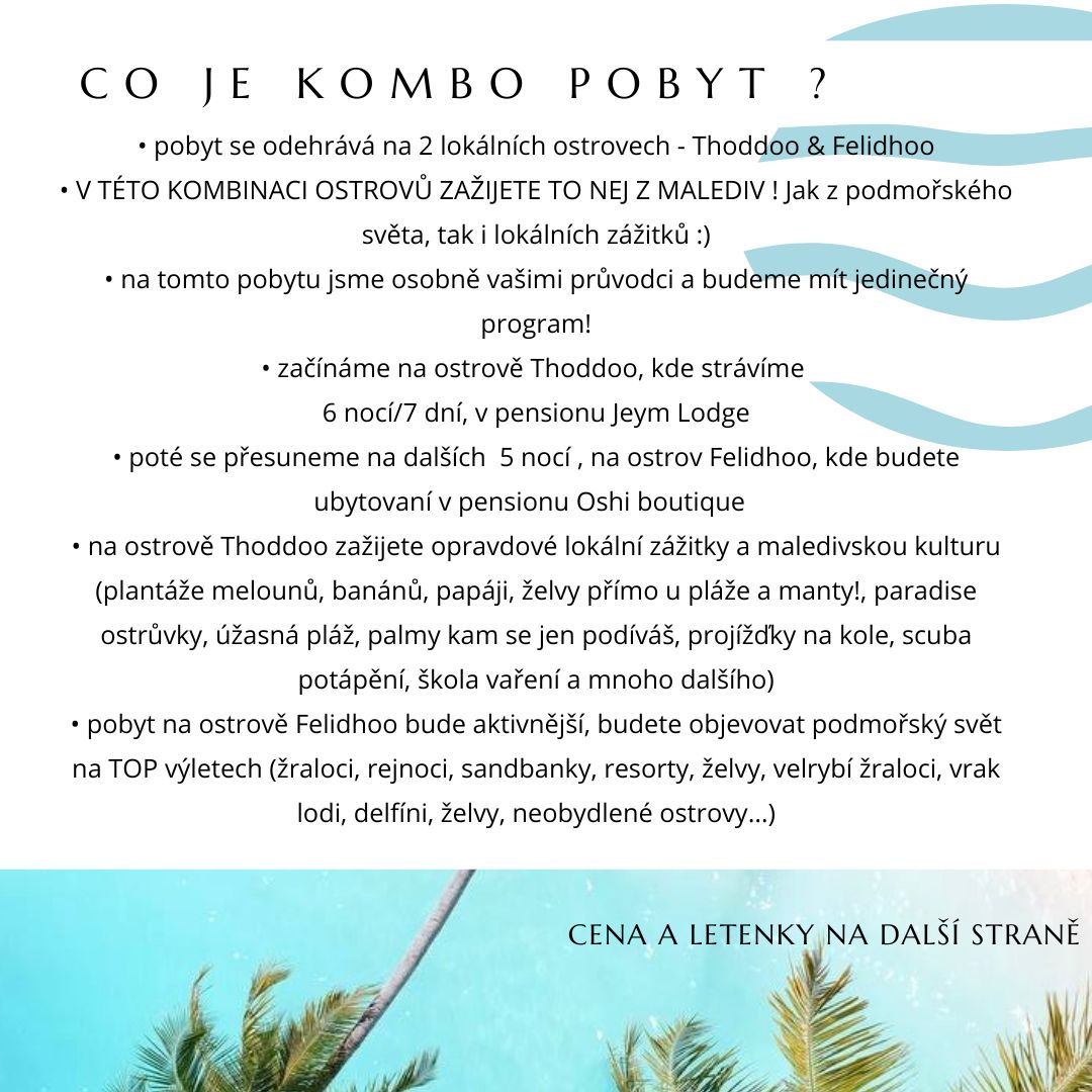 Kombo pobyt - 47